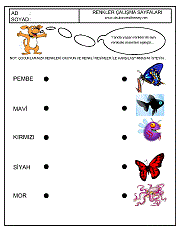 okul öncesi kavram gelişim çalışmaları, renk kavramı, renkleri eşleştir çalışmaları